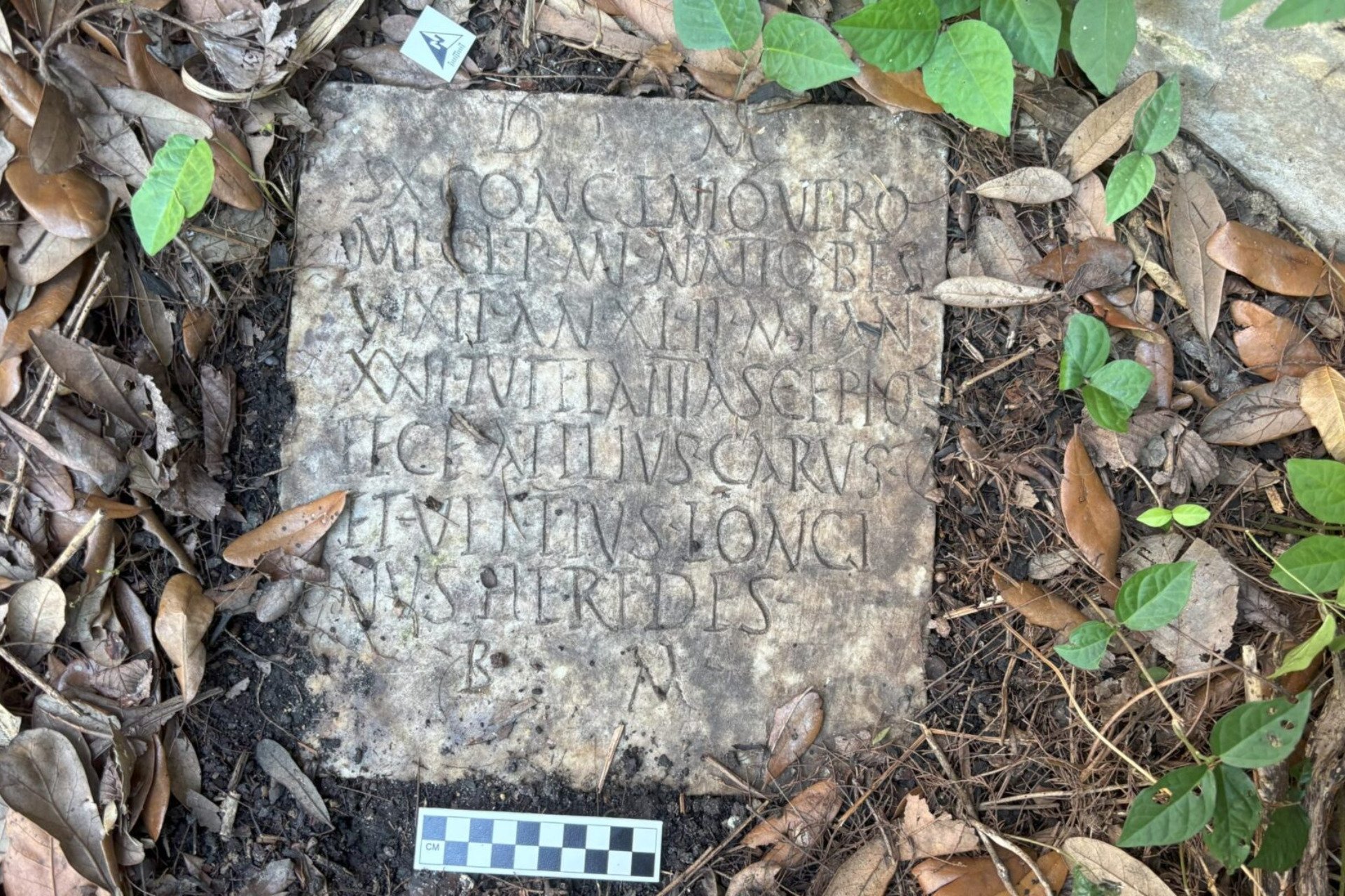 Roman Tombstone