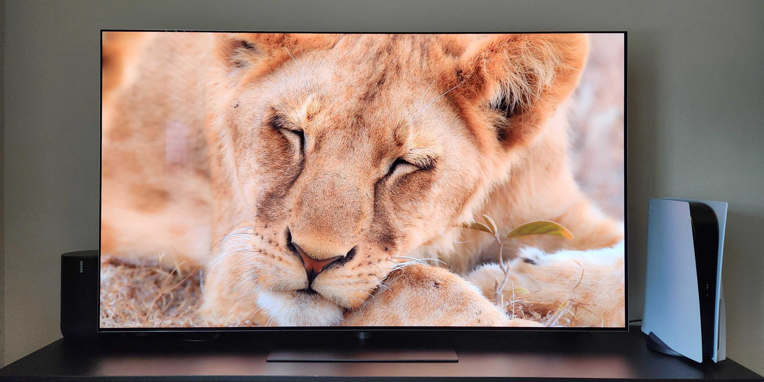 An LG G5 TV on a media console is displaying a video of a lion sleeping on screen.