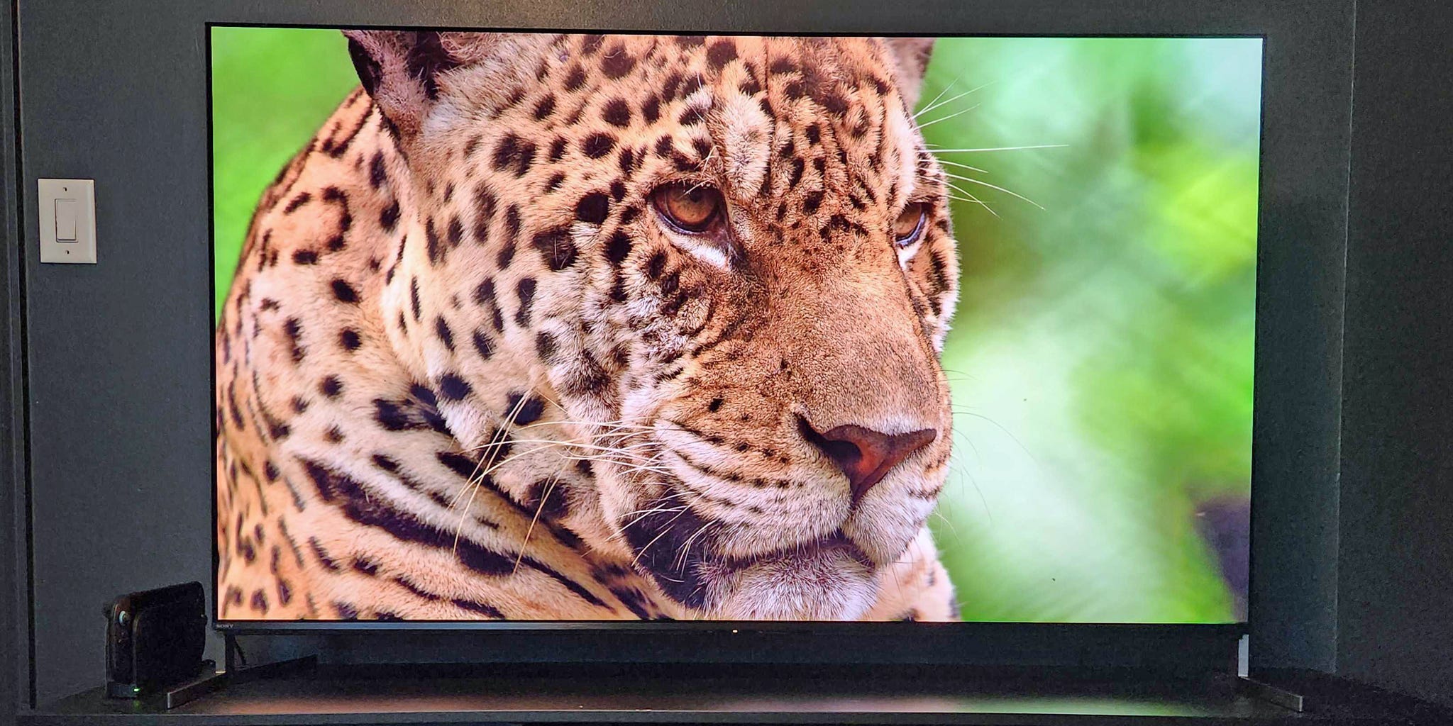 A Bravia 8 II OLED TV on a media console with an image of a leopard displayed on the screen.
